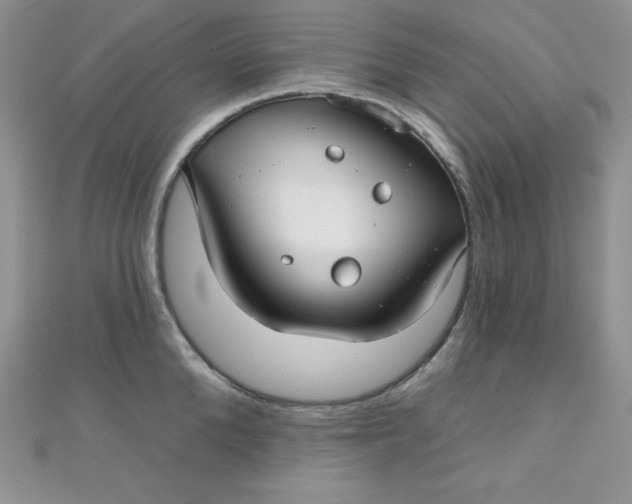 X0000111000904200907022134