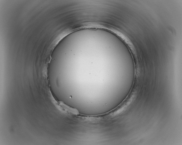 X0000111000905200907022134