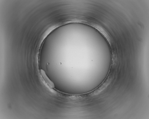 X0000111000906200907022134