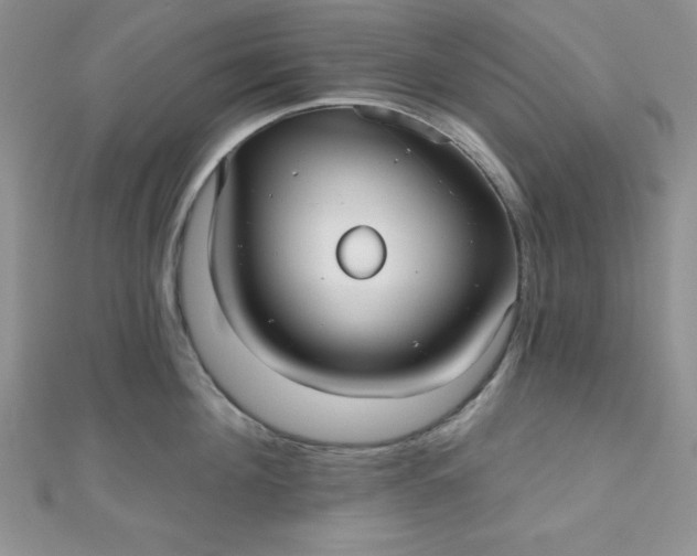 X0000111000908200907022134