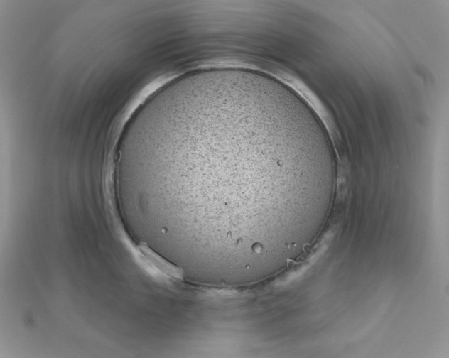 X0000111000909200907022134