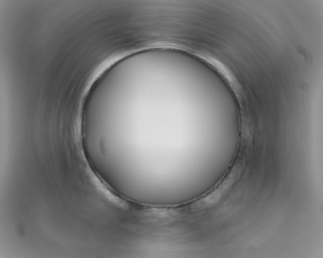 X0000111000910200907022134