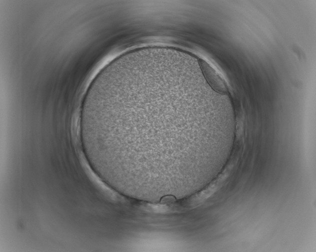 X0000111000911200907022134