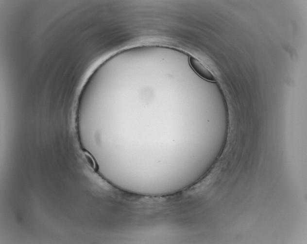 X0000111000912200907022134