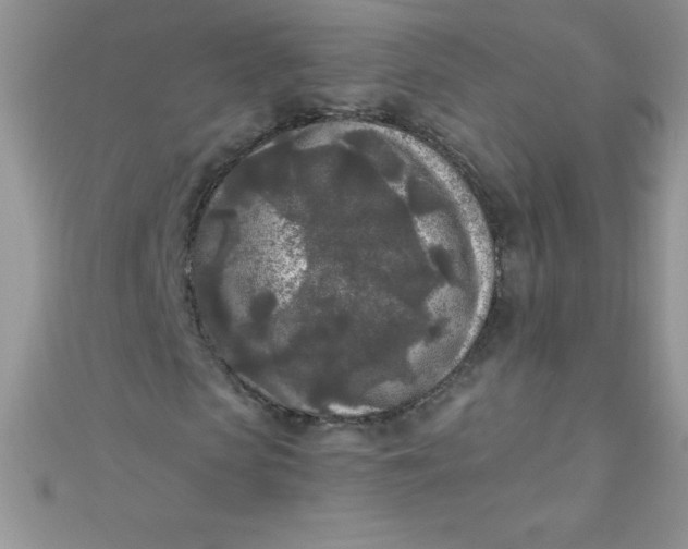 X0000111000913200907022133