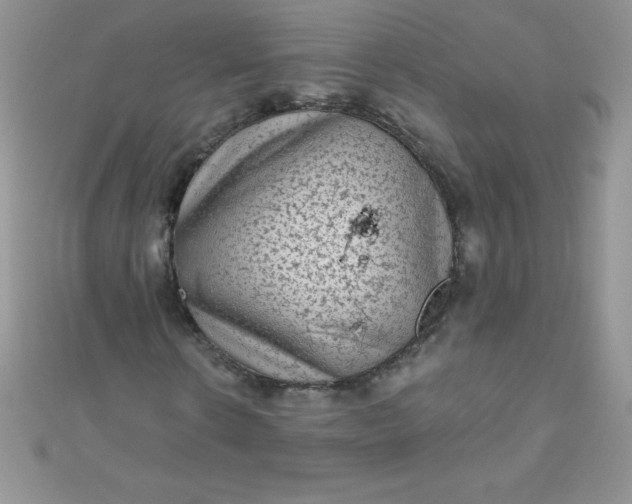 X0000111000914200907022133