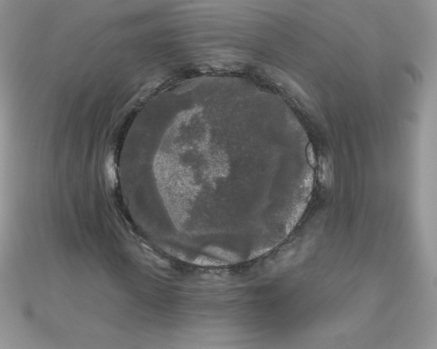 X0000111000915200907022133