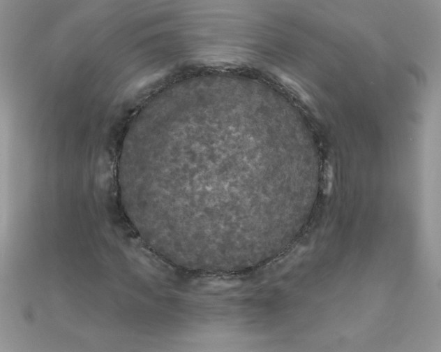 X0000111000917200907022133