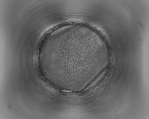 X0000111000920200907022133