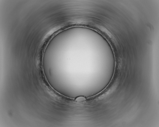 X0000111000922200907022134