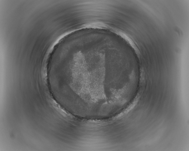 X0000111000923200907022134