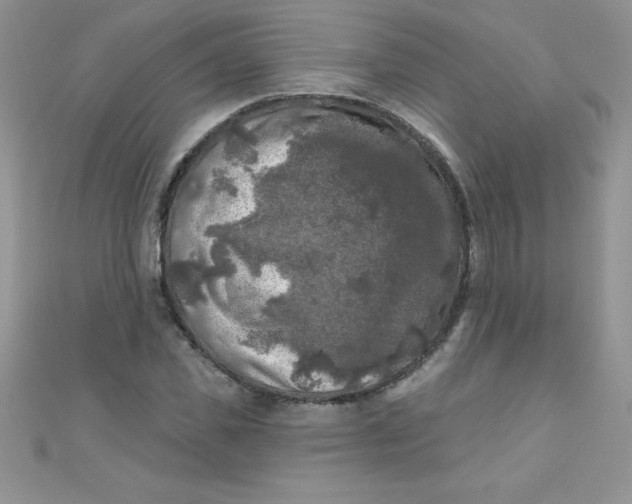 X0000111000925200907022134