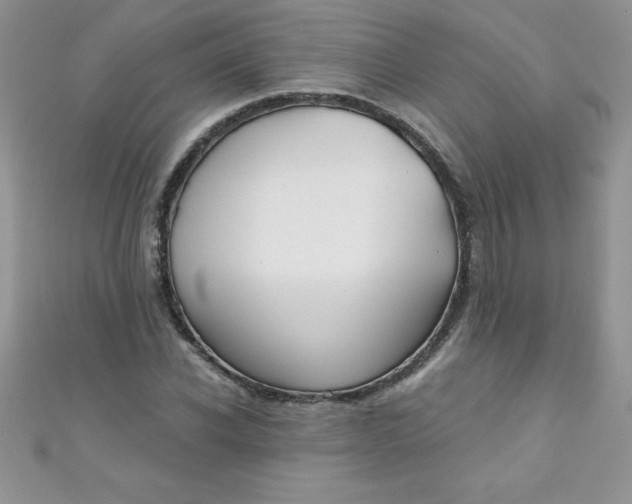 X0000111000926200907022134