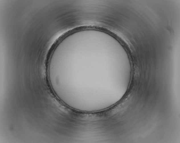 X0000111000927200907022134