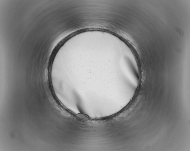 X0000111000928200907022134