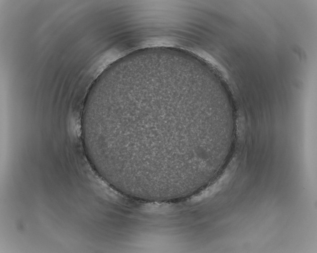 X0000111000929200907022134