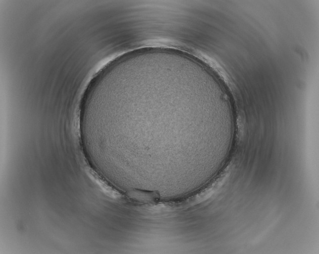 X0000111000931200907022134