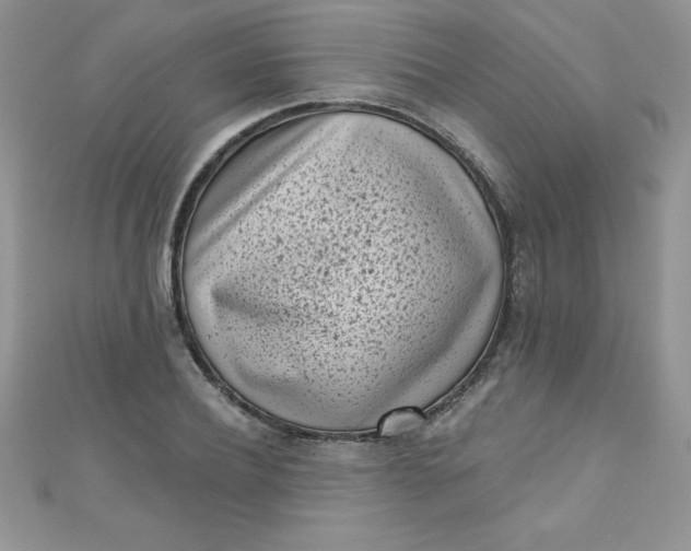 X0000111000932200907022134