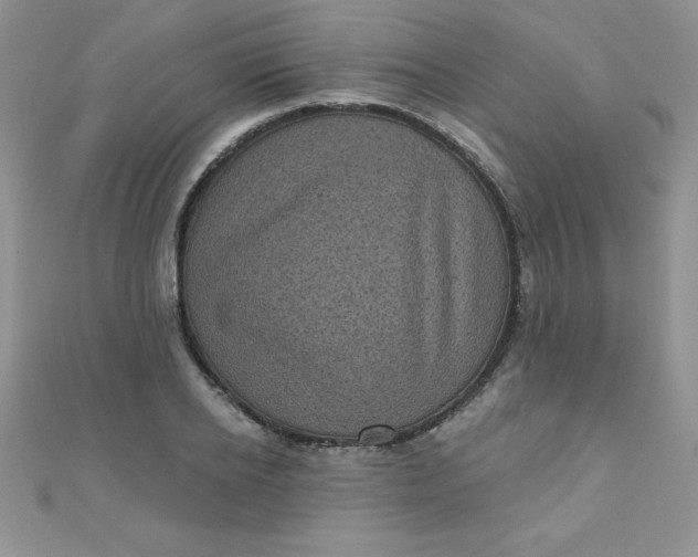 X0000111000934200907022134