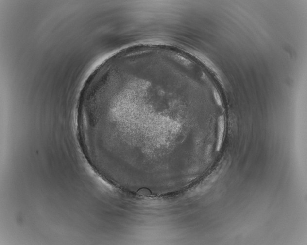 X0000111000935200907022134