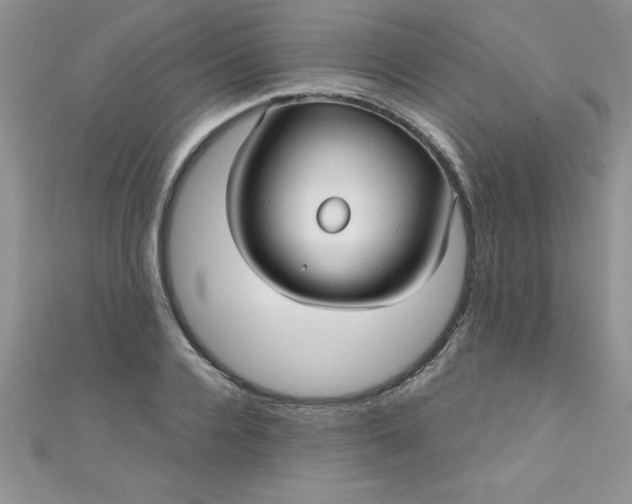 X0000111000936200907022134