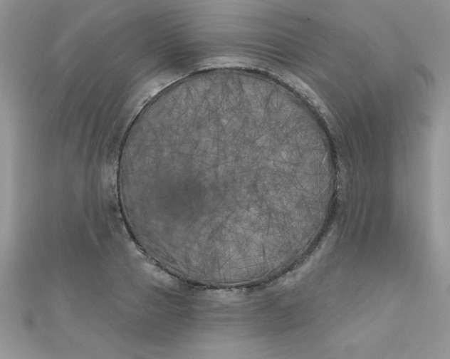 X0000111000937200907022134