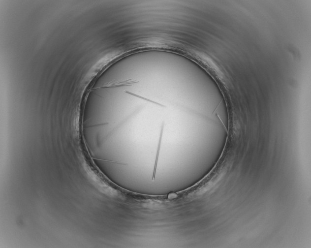 X0000111000938200907022134