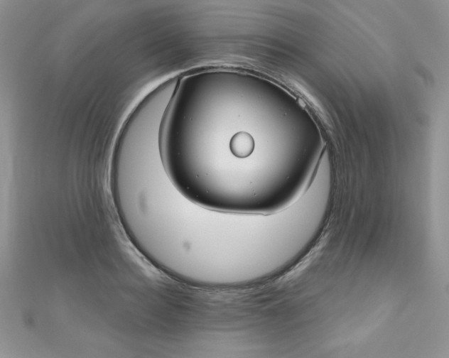 X0000111000940200907022134