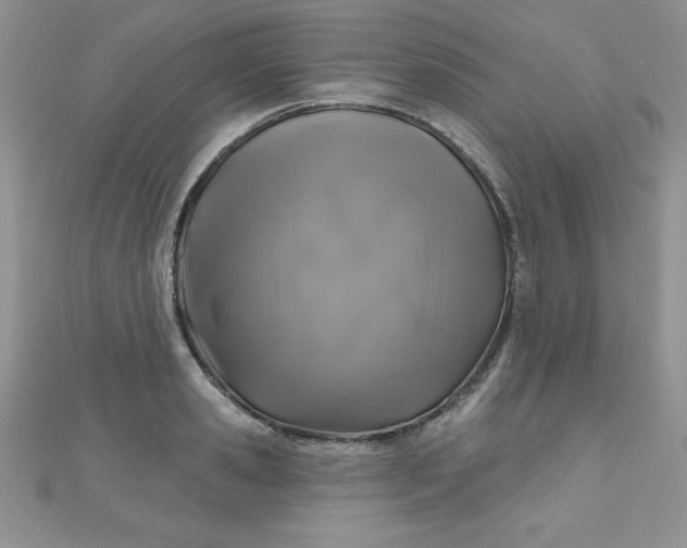 X0000111000941200907022134