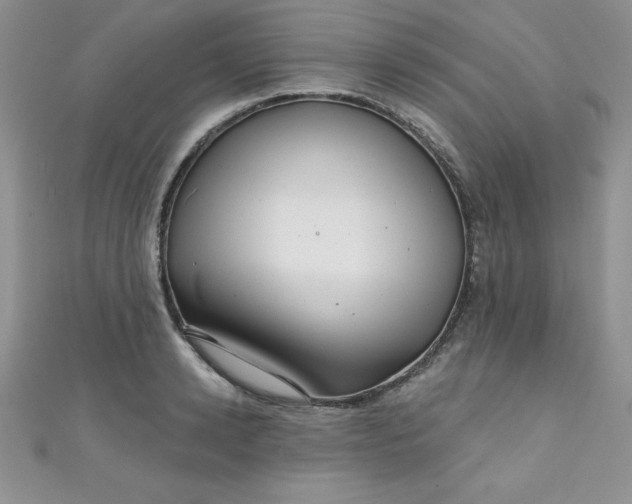 X0000111000942200907022134