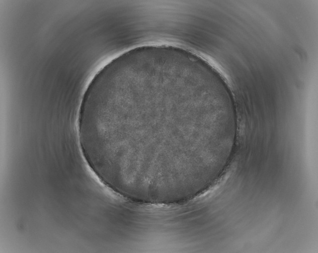 X0000111000943200907022134