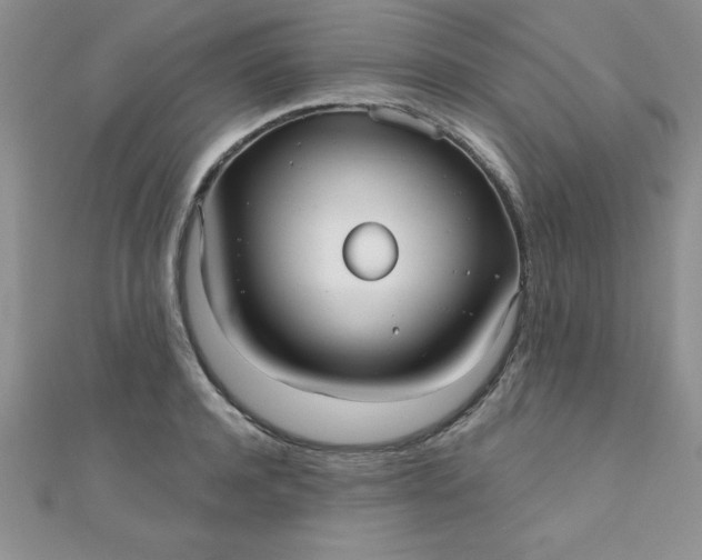 X0000111000944200907022134