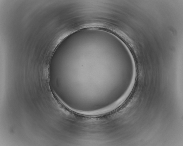 X0000111000945200907022134