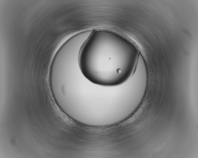 X0000111000948200907022134