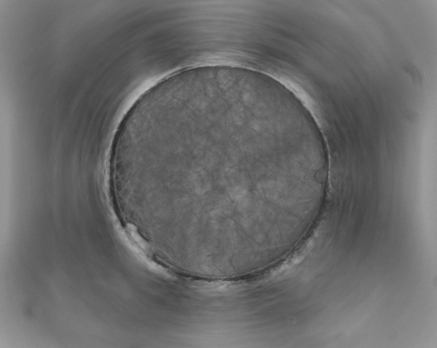 X0000111000949200907022134