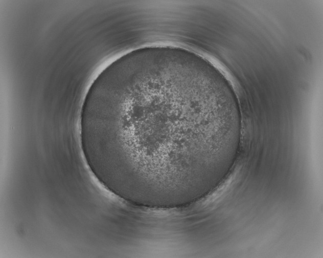 X0000111000951200907022134