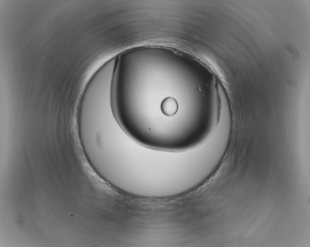 X0000111000952200907022134