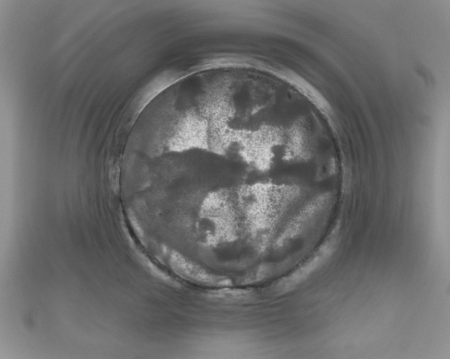 X0000111000953200907022134