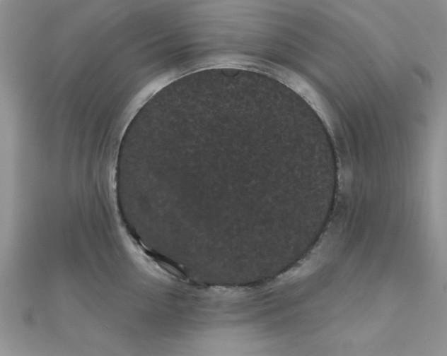 X0000111000954200907022134