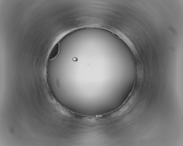 X0000111000956200907022134