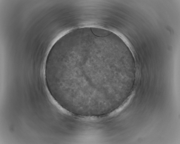 X0000111000957200907022134