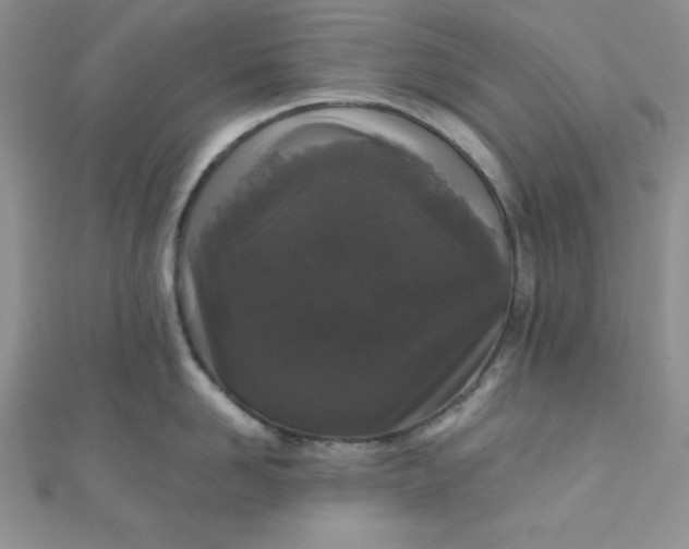 X0000111000958200907022134