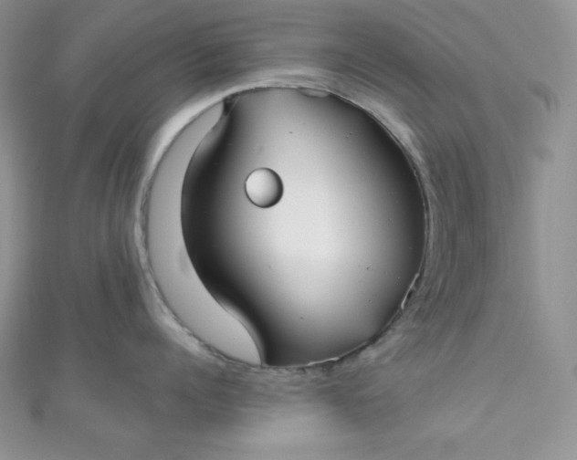 X0000111000960200907022134