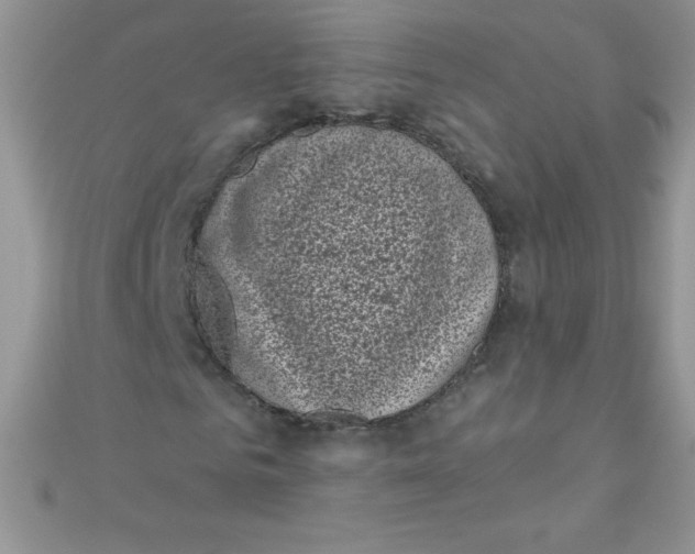 X0000111000961200907022133