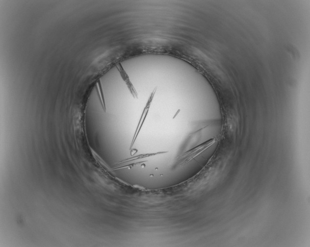 X0000111000964200907022133