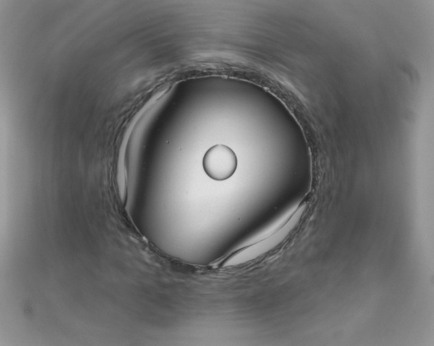 X0000111000965200907022133