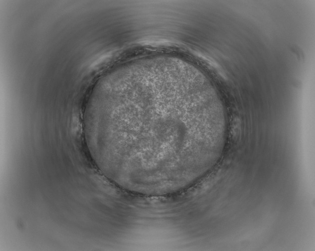 X0000111000966200907022133