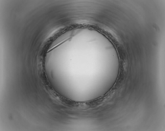 X0000111000968200907022133