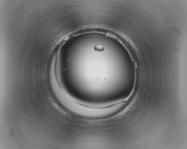 X0000111000969200907022133