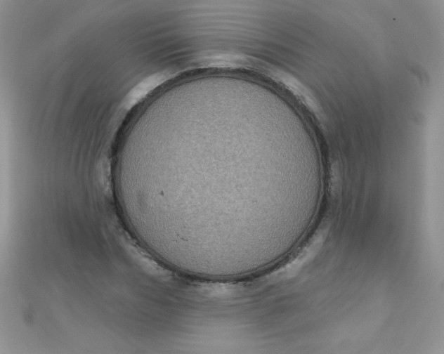 X0000111000970200907022133